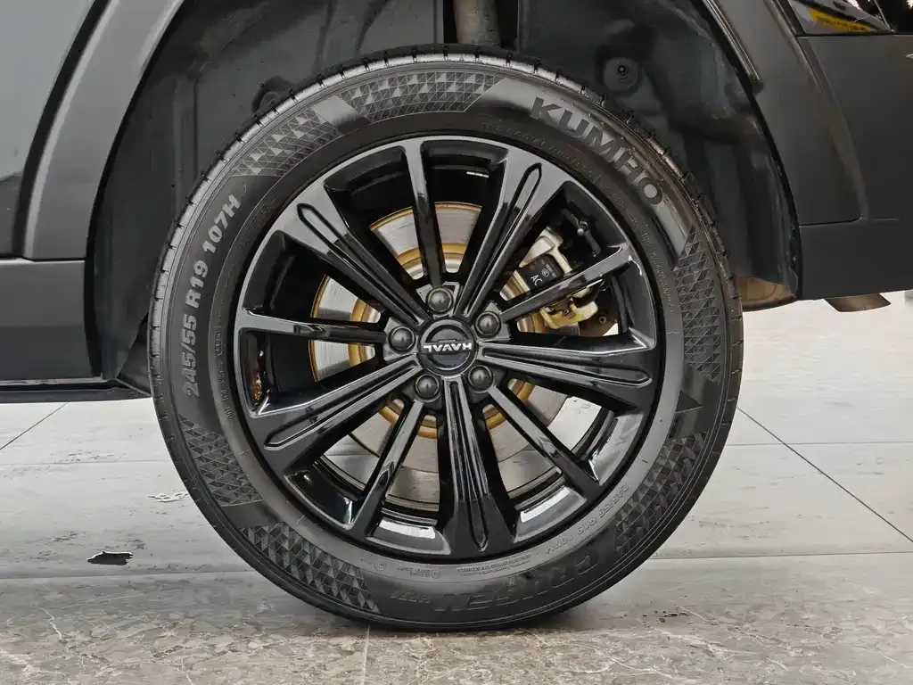 Haval Menglong New Energy 2024 из CN, фото 8