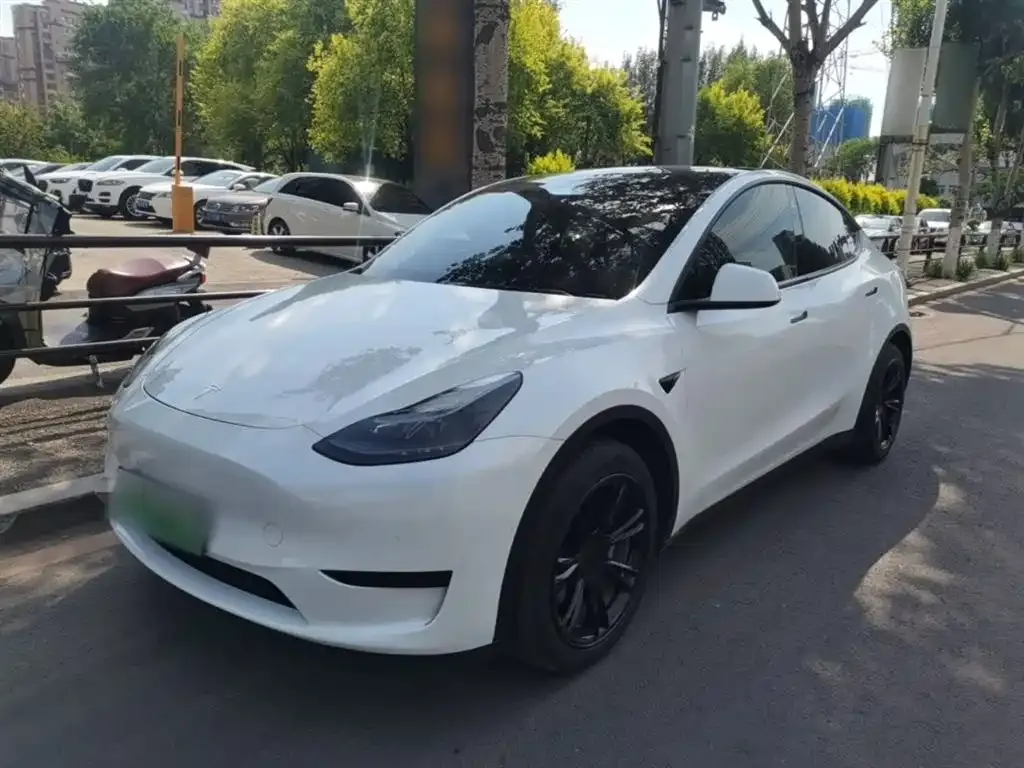 Tesla Model Y — фото 2