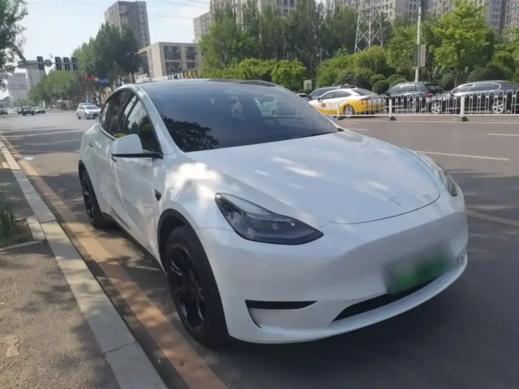 Tesla Model Y — фото 3