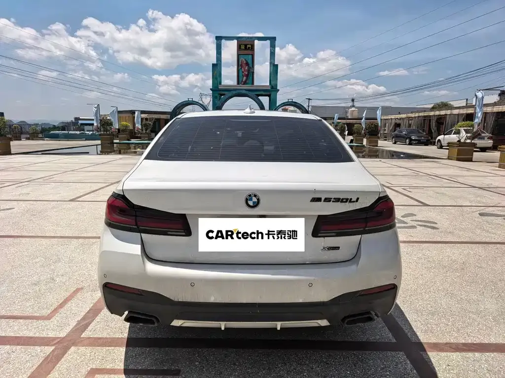 BMW 5 Series 2022 из CN, фото 3