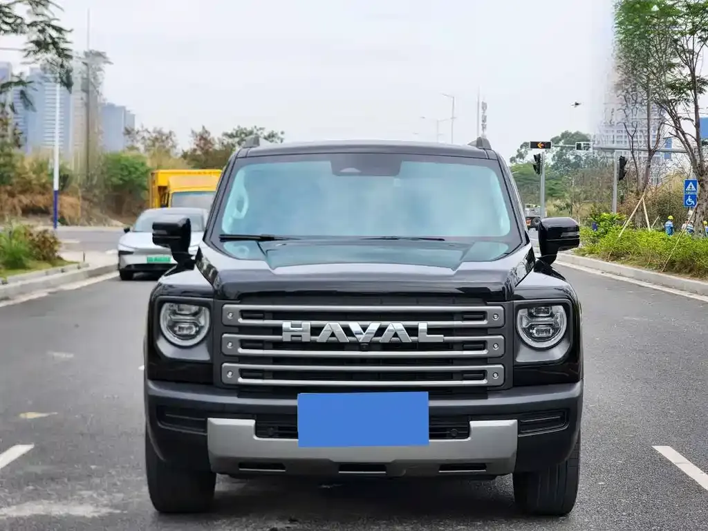 Haval Menglong New Energy 2024 из CN, фото 3