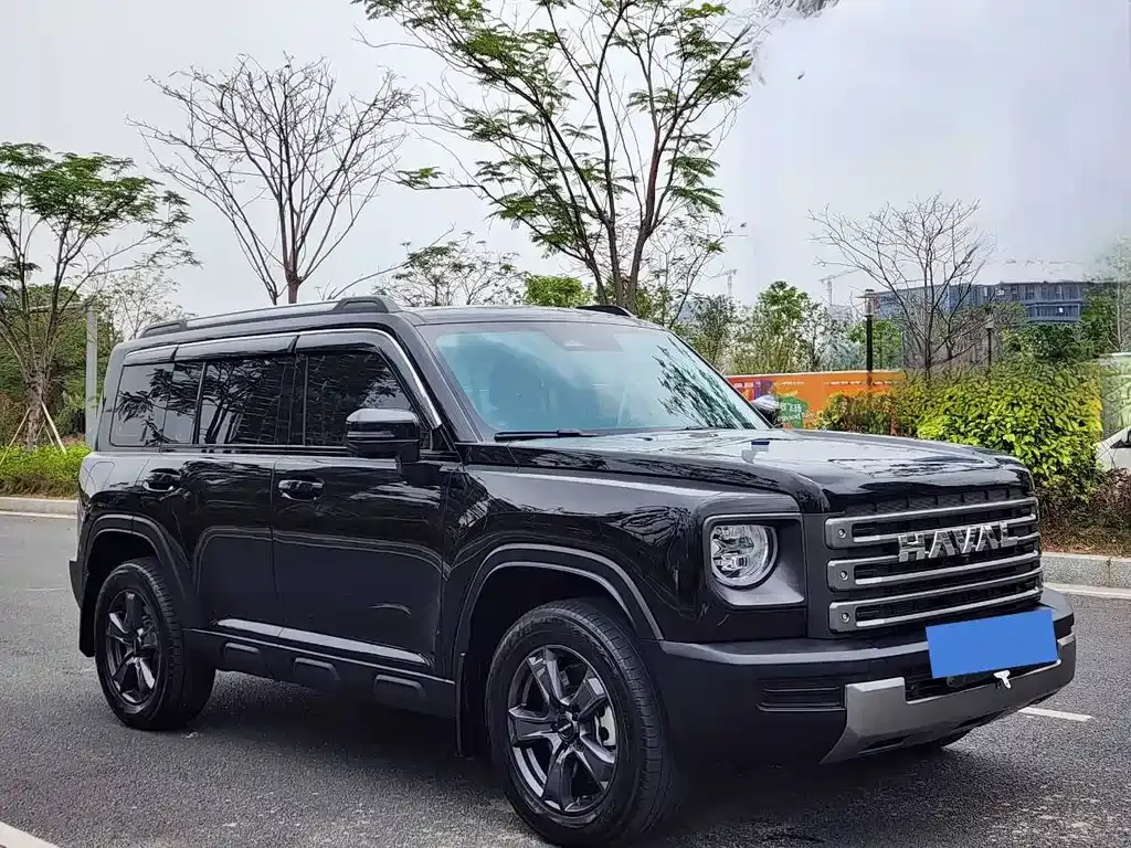 Haval Menglong New Energy 2024 из CN, фото 8