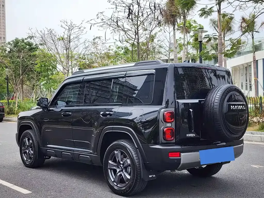 Haval Menglong New Energy 2024 из CN, фото 9