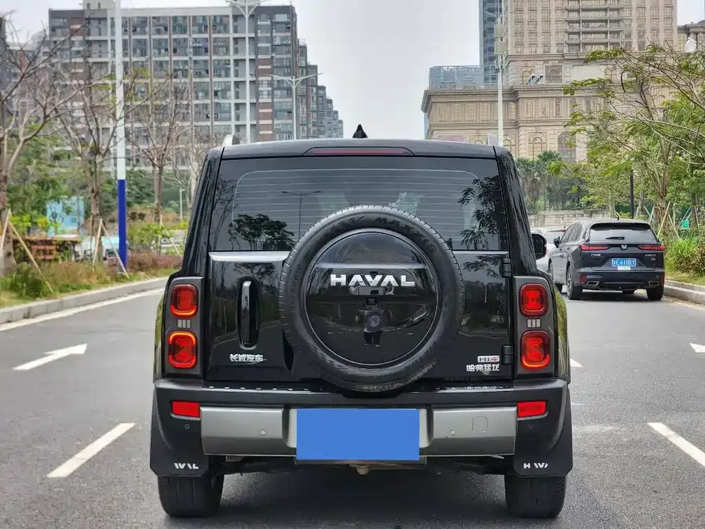 Haval Menglong New Energy 2024 из CN, фото 5