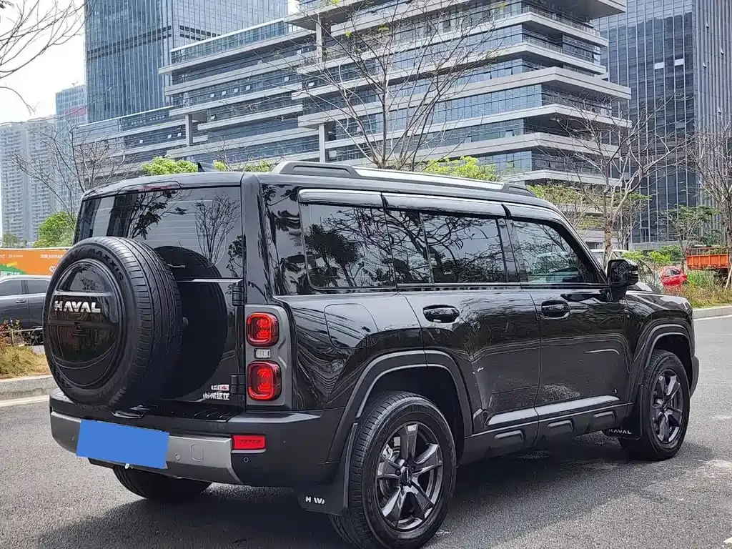 Haval Menglong New Energy 2024 из CN, фото 10