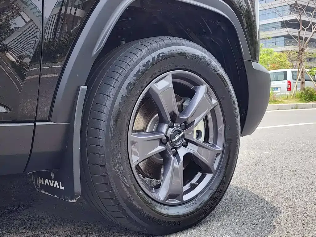 Haval Menglong New Energy 2024 из CN, фото 7