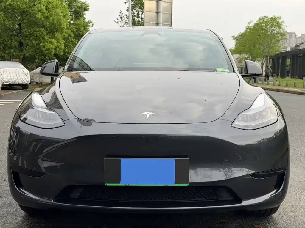 Tesla Model Y — фото 2