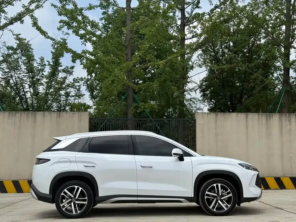 BYD L DM-i — фото 10