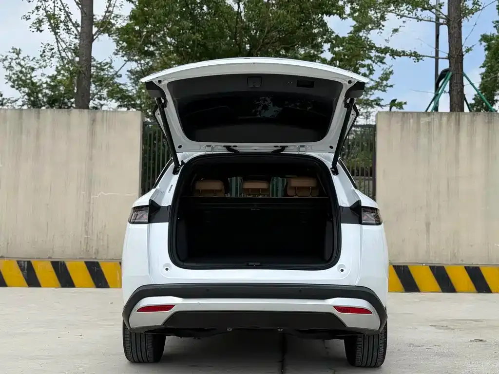 BYD L DM-i — фото 3