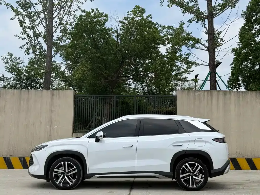 BYD L DM-i — фото 9