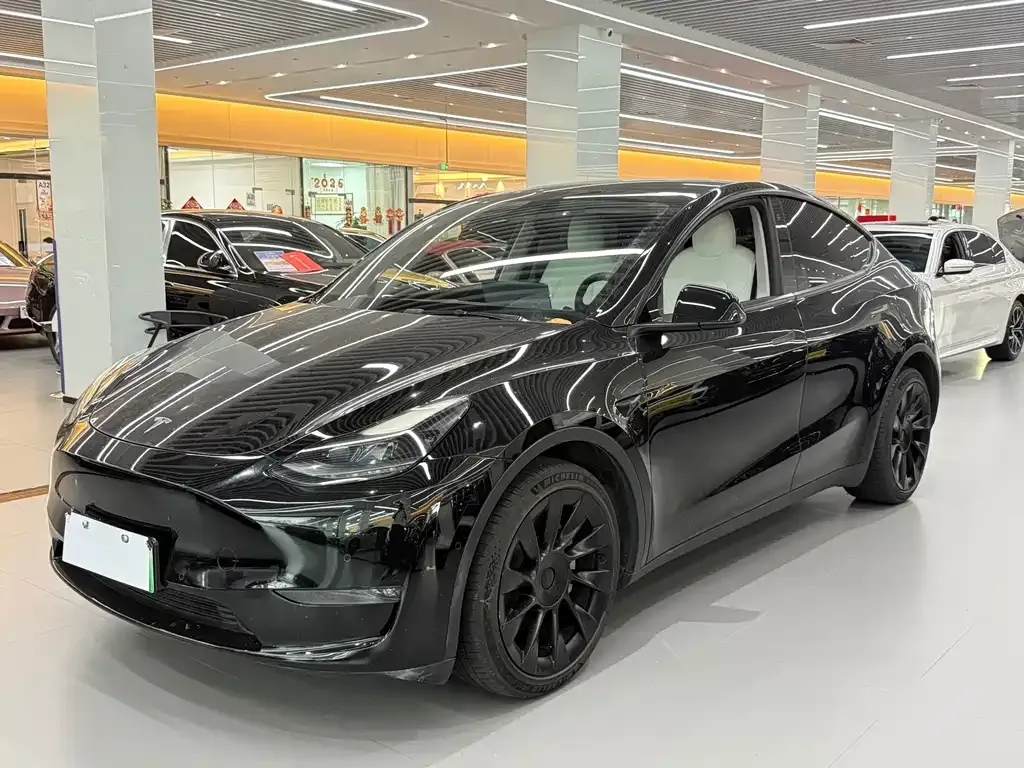 Tesla Model Y — фото 1