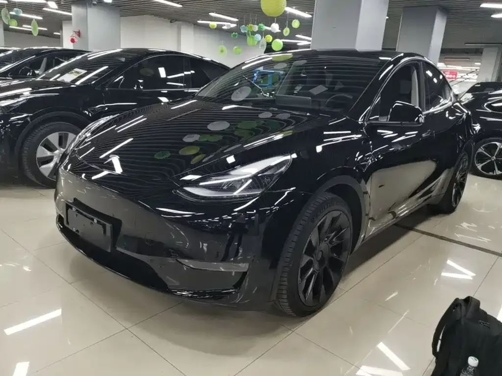Tesla Model Y — фото 5