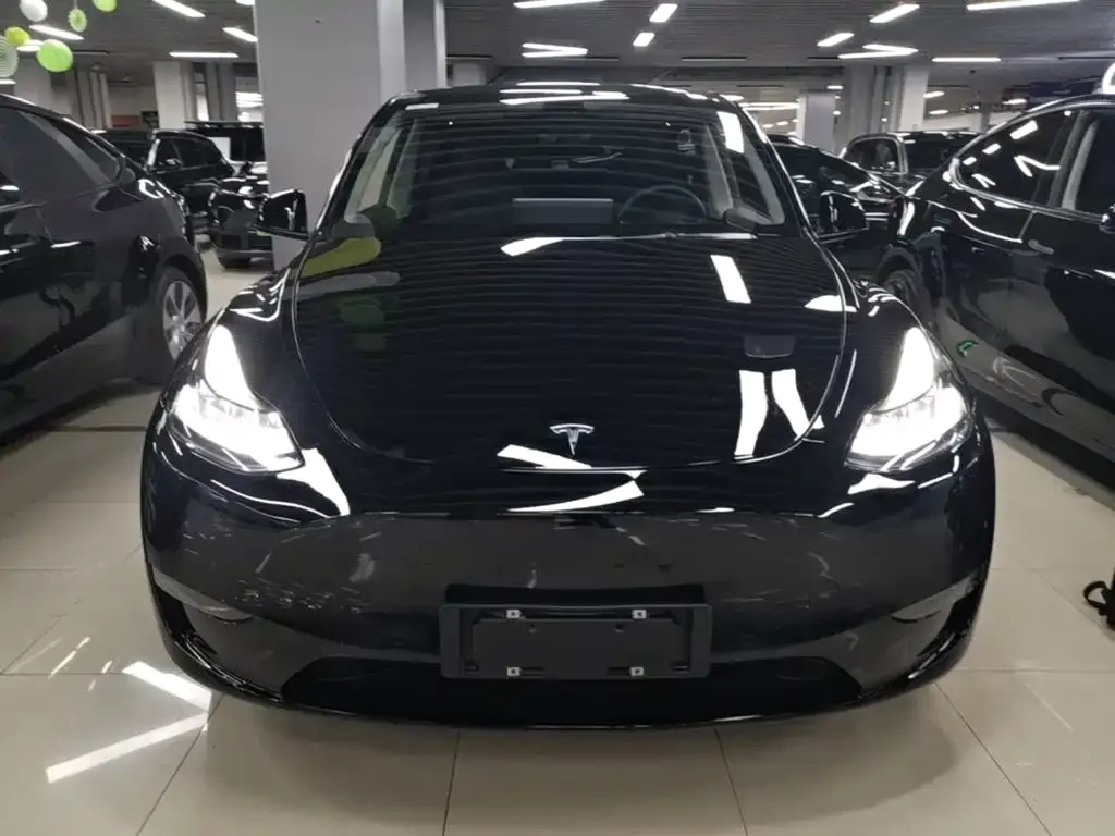 Tesla Model Y — фото 3