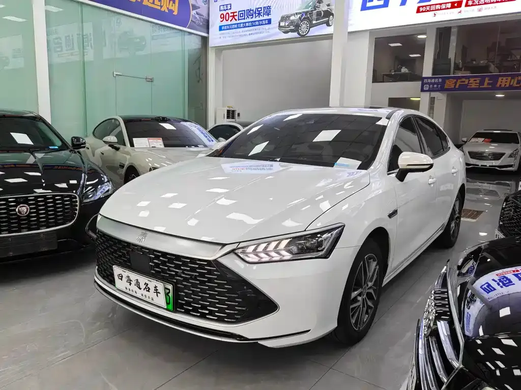 BYD Qin PLUS — фото 1