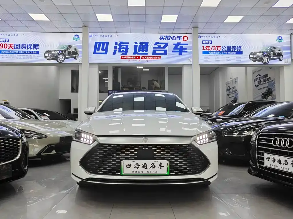 BYD Qin PLUS — фото 6