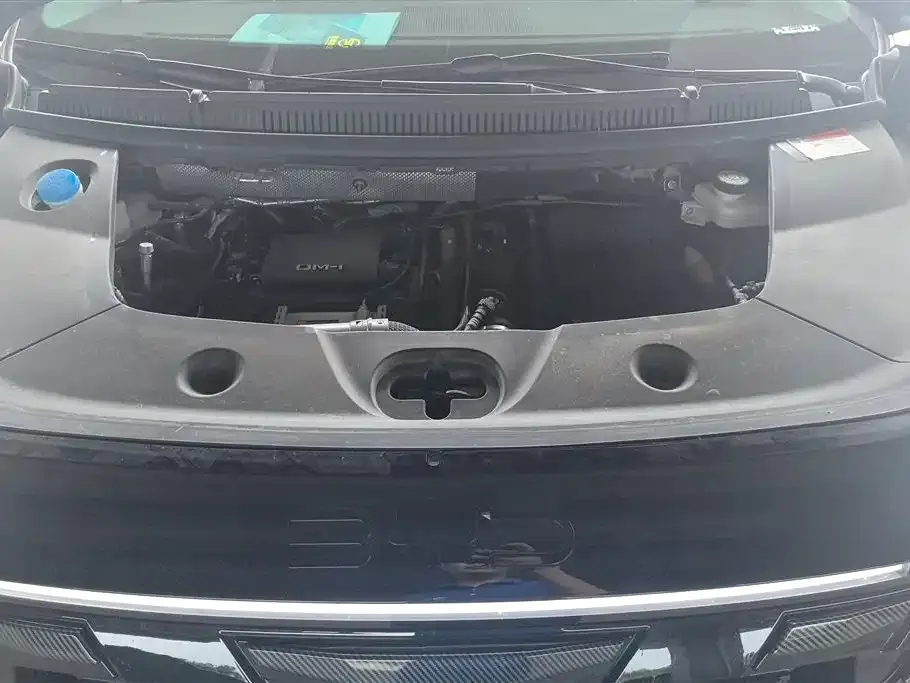 BYD Xia 2025 из CN, фото 2
