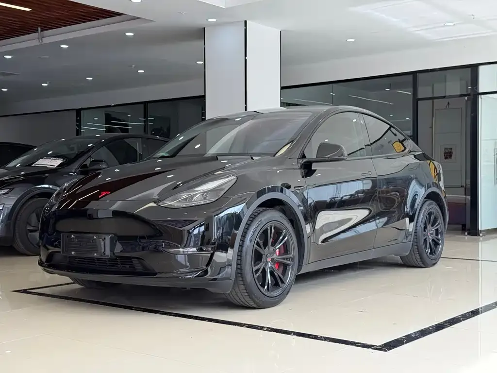 Tesla Model Y — фото 1