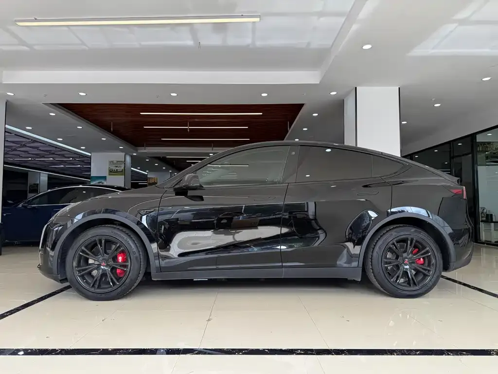 Tesla Model Y — фото 4