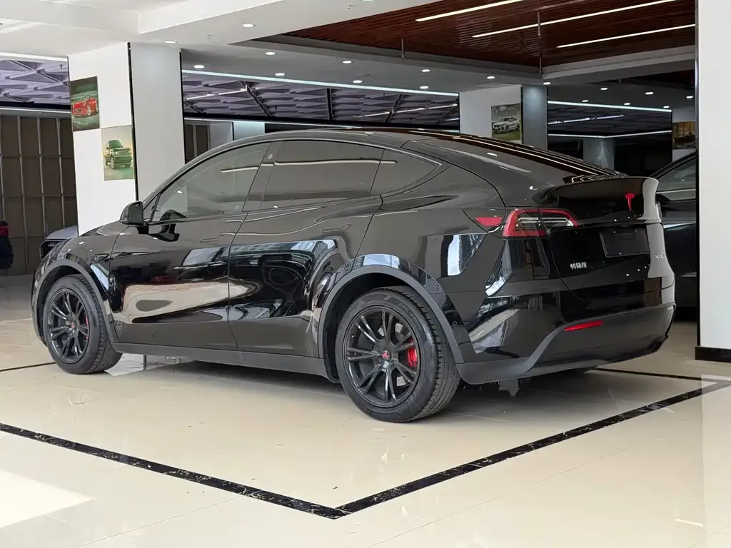 Tesla Model Y — фото 10