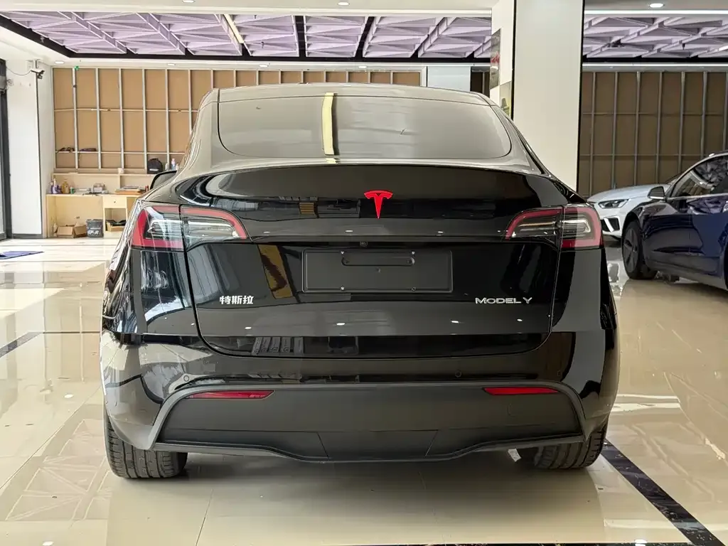 Tesla Model Y — фото 7