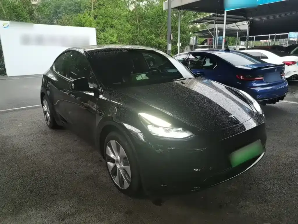 Tesla Model Y — фото 8