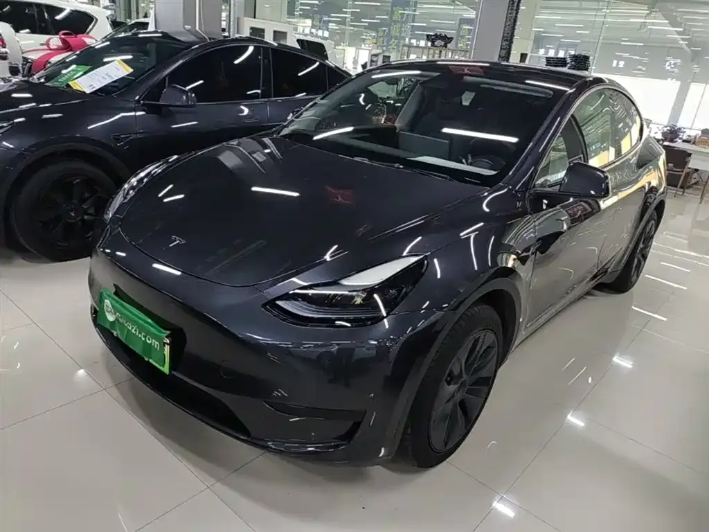 Tesla Model Y — фото 1