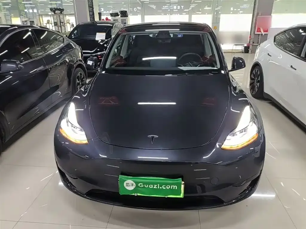 Tesla Model Y — фото 9