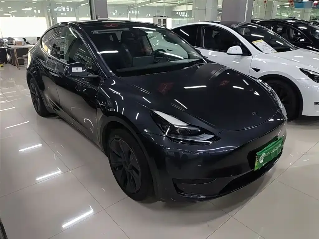 Tesla Model Y — фото 6