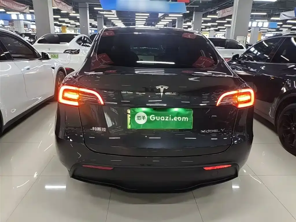 Tesla Model Y — фото 10