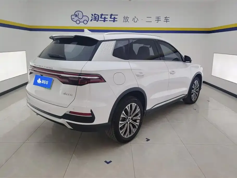 BYD Pro New Energy — фото 8
