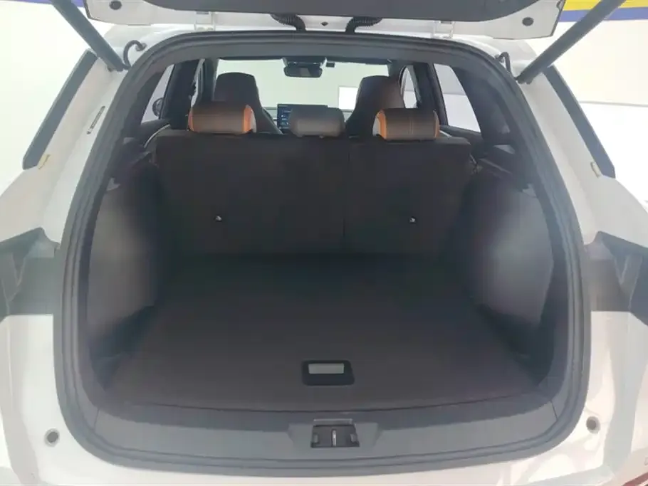 BYD Pro New Energy — фото 7