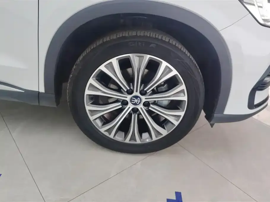 BYD Pro New Energy — фото 2