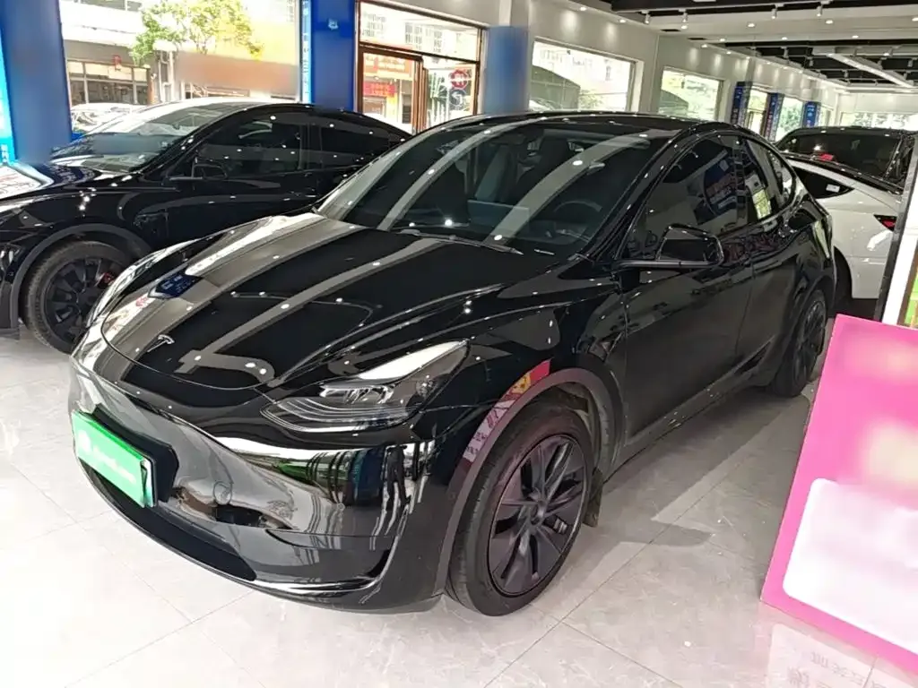 Tesla Model Y — фото 3