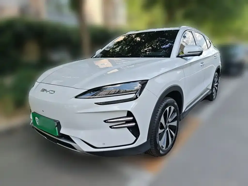 BYD PLUS New Energy — фото 1