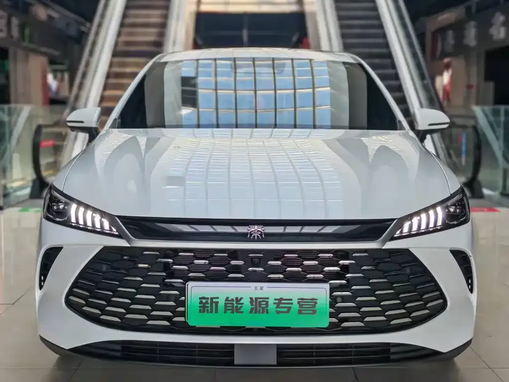 BYD Qin PLUS — фото 1