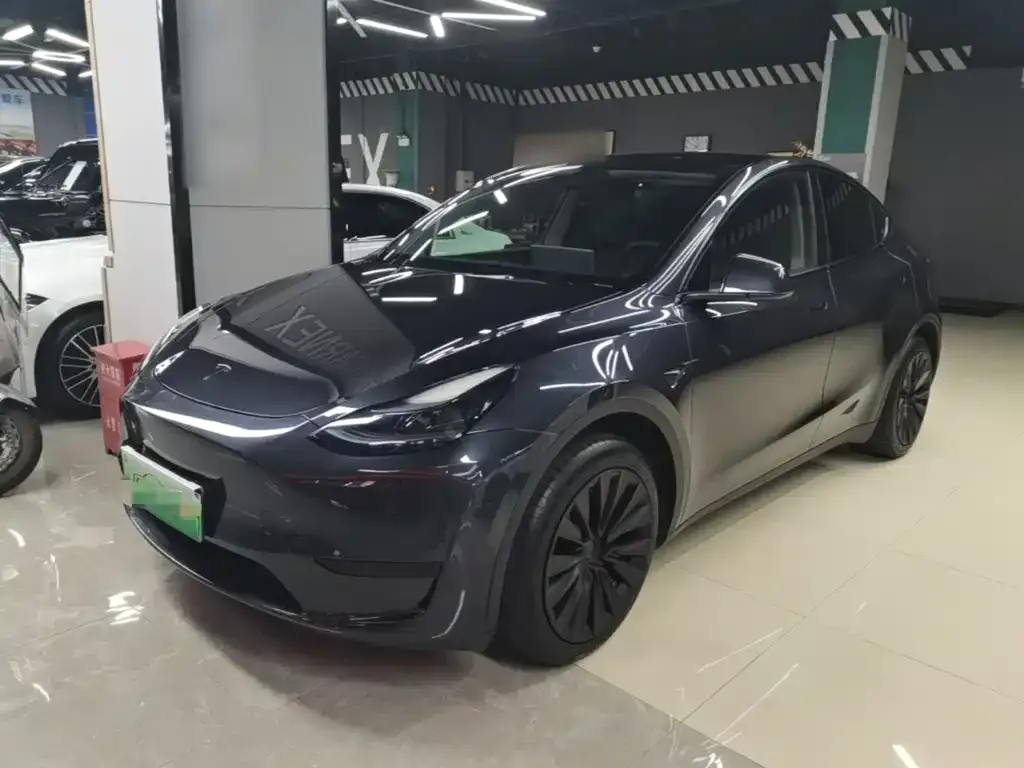 Tesla Model Y — фото 9