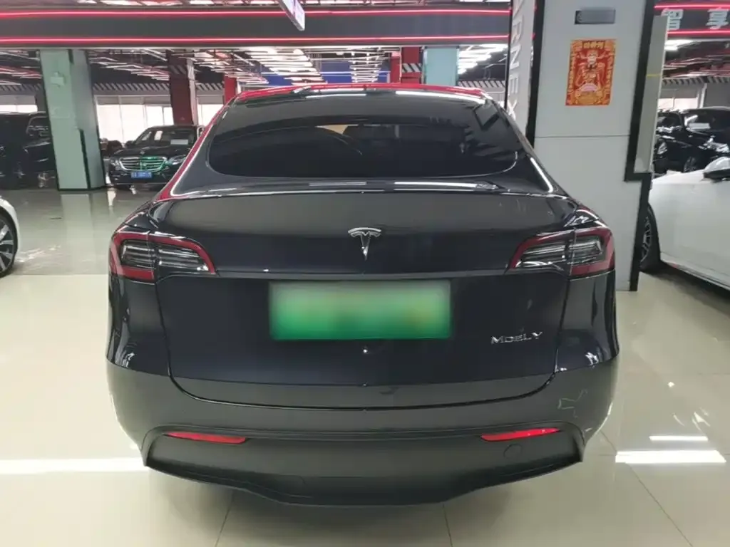 Tesla Model Y — фото 5