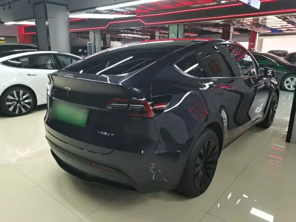 Tesla Model Y — фото 10