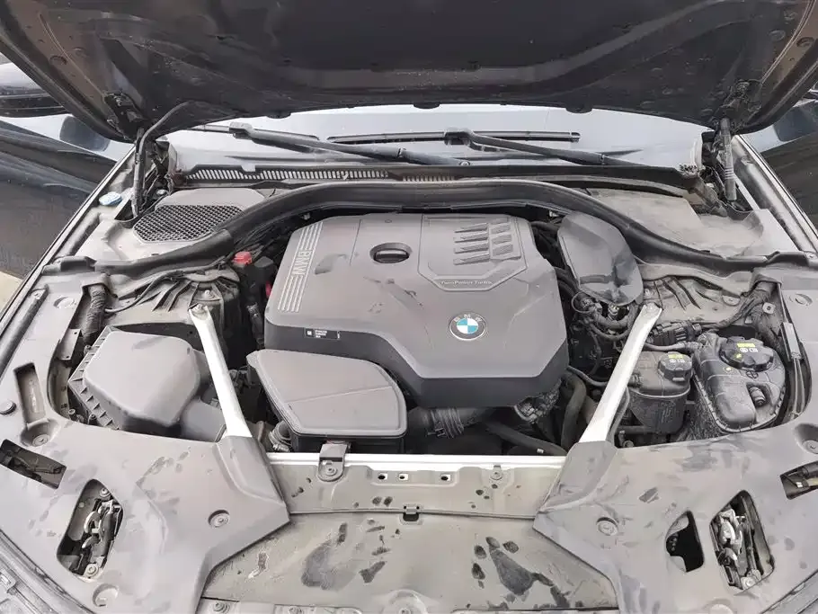 BMW 5 Series 2021 из CN, фото 3