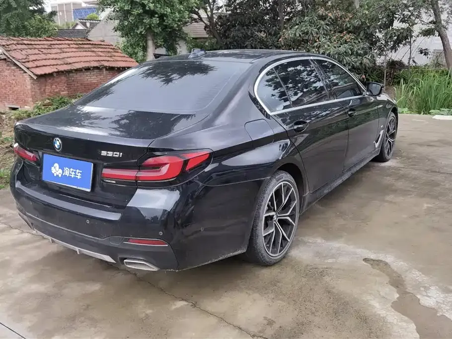 BMW 5 Series 2021 из CN, фото 8