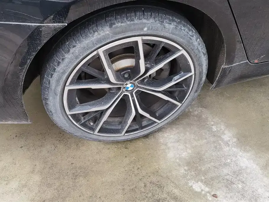 BMW 5 Series 2021 из CN, фото 4