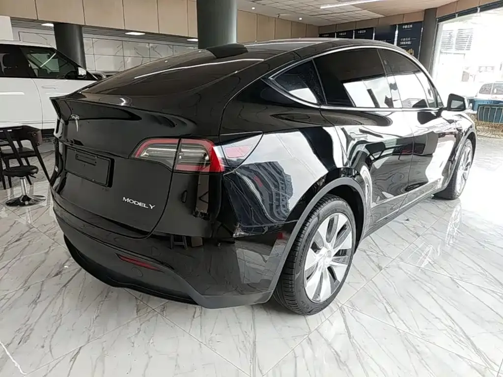 Tesla Model Y — фото 10