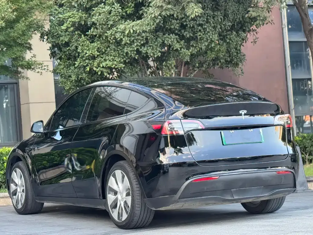 Tesla Model Y — фото 10
