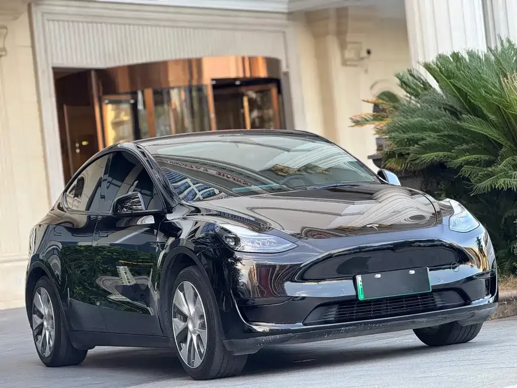Tesla Model Y — фото 8