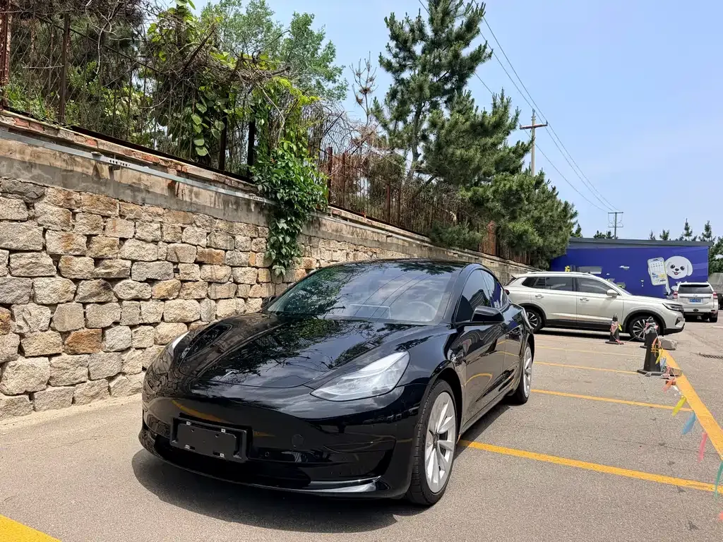 Tesla Model 3 — фото 1