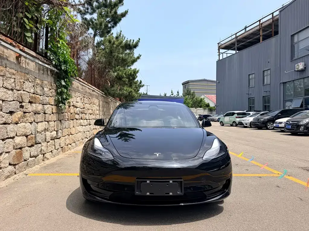 Tesla Model 3 — фото 6