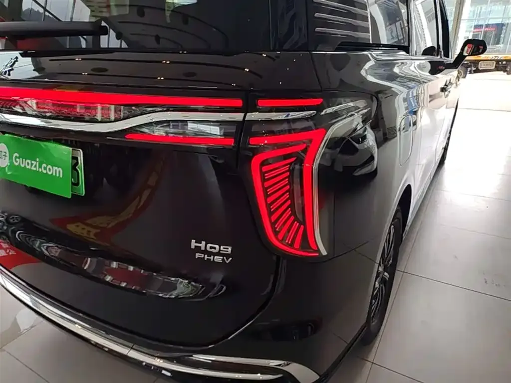 Hongqi HQ9 PHEV — фото 9