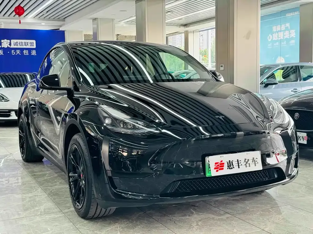 Tesla Model Y — фото 10
