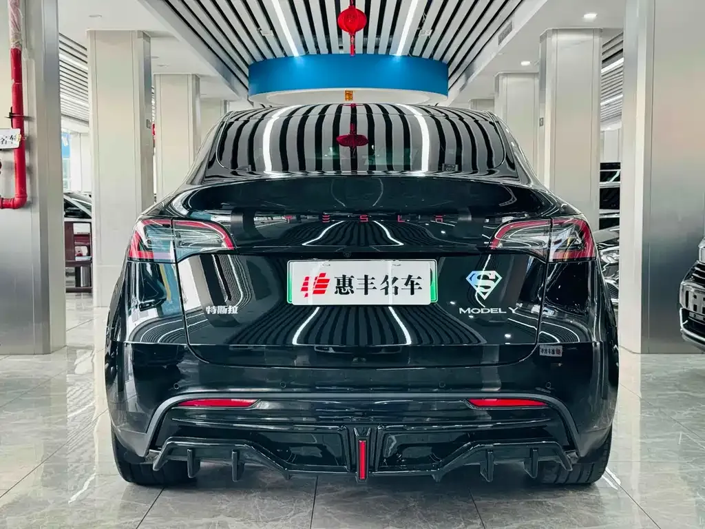 Tesla Model Y — фото 9