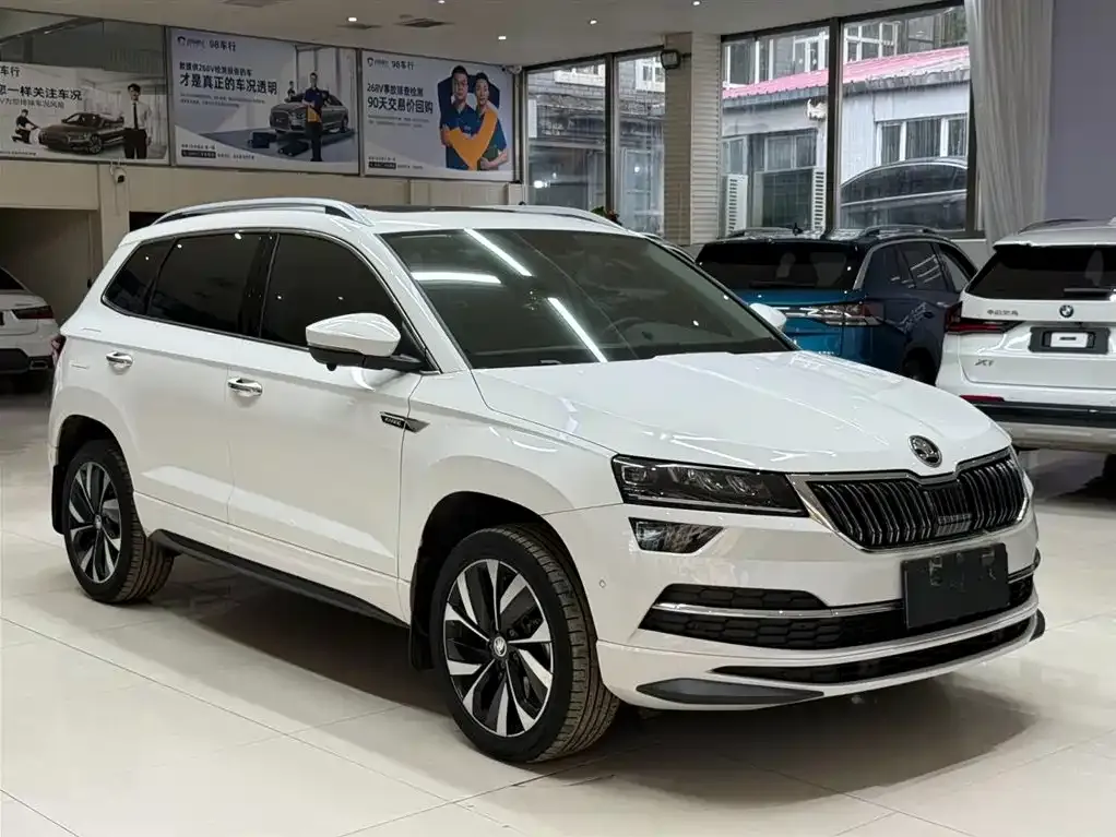 Skoda Karoq — фото 7